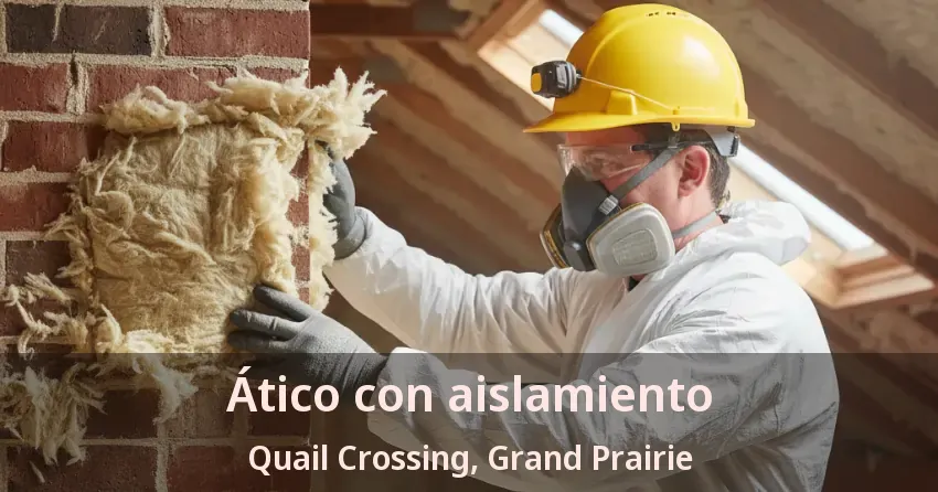 Ático con aislamiento Quail Crossing, Grand Prairie - TX