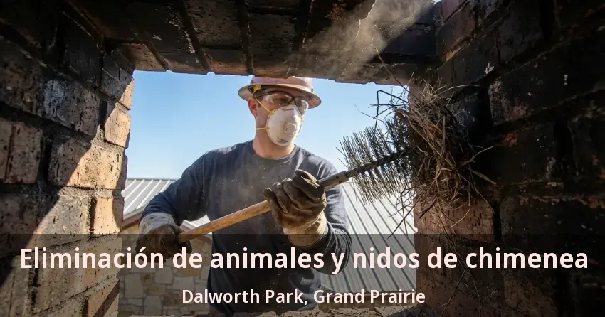 Eliminación de animales y nidos de chimenea Dalworth Park, Grand Prairie - TX