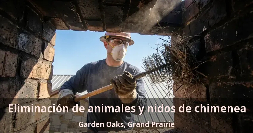 Eliminación de animales y nidos de chimenea Garden Oaks, Grand Prairie - TX