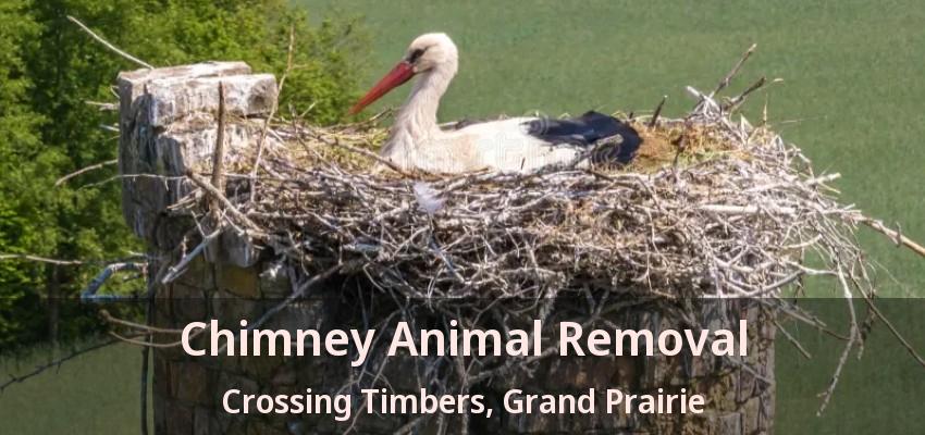 Chimney Animal Removal Crossing Timbers, Grand Prairie - TX