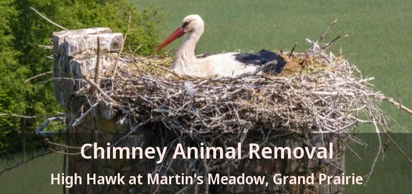Chimney Animal Removal High Hawk at Martin's Meadow, Grand Prairie - TX