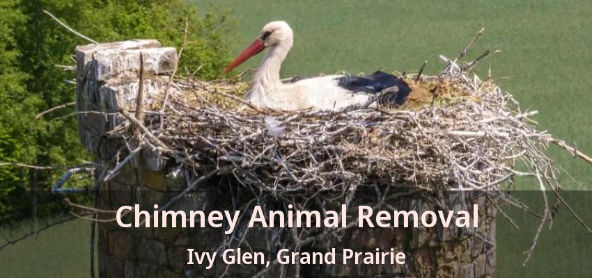 Chimney Animal Removal Ivy Glen, Grand Prairie - TX