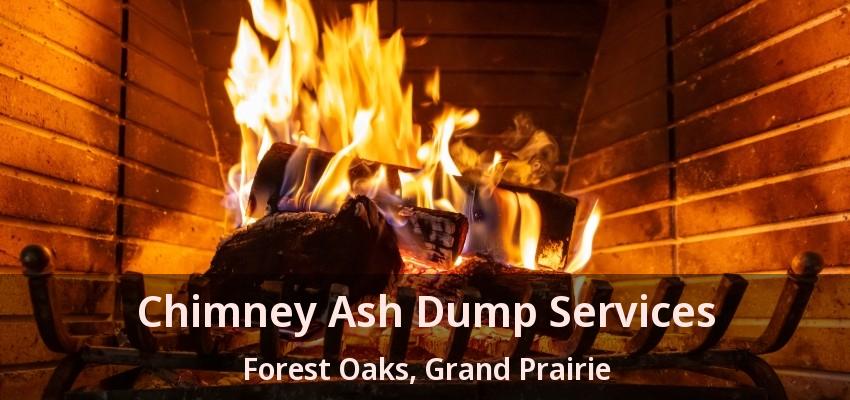 Chimney Ash Dump Services Forest Oaks, Grand Prairie - TX