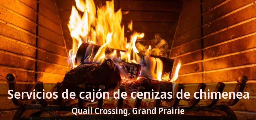 Servicios de cajón de cenizas de chimenea Quail Crossing, Grand Prairie - TX