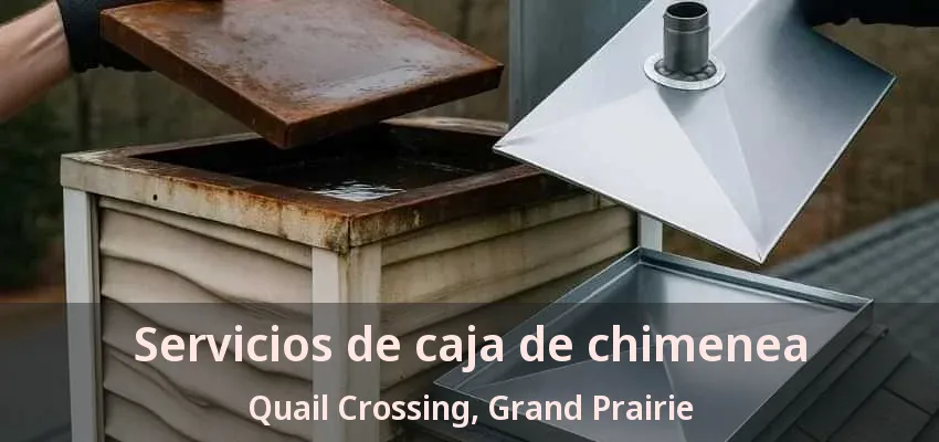 Servicios de caja de chimenea Quail Crossing, Grand Prairie - TX