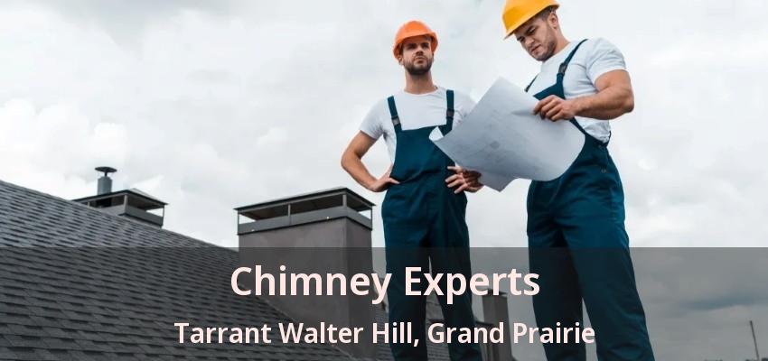 Chimney Experts Tarrant Walter Hill, Grand Prairie - TX