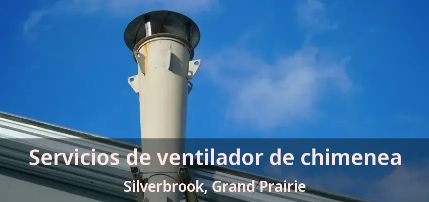 Servicios de ventilador de chimenea Silverbrook, Grand Prairie - TX Servicios de ventilador de chimenea Silverbrook, Grand Prairie - TX