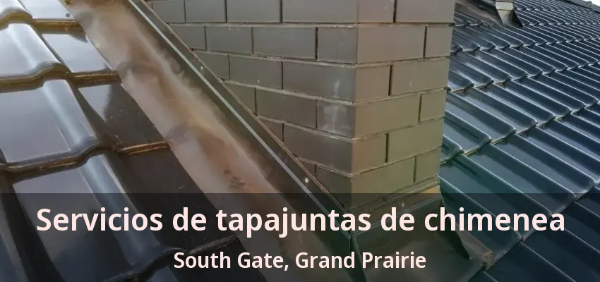Servicios de tapajuntas de chimenea South Gate, Grand Prairie - TX