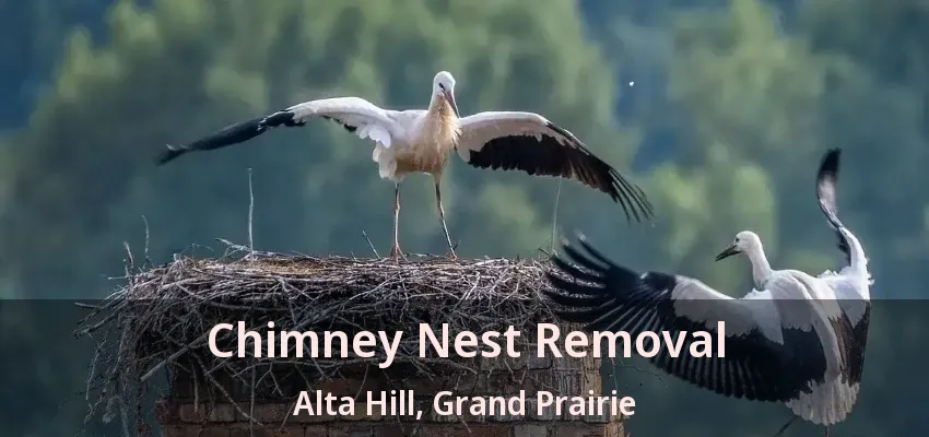 Chimney Nest Removal Alta Hill, Grand Prairie - TX