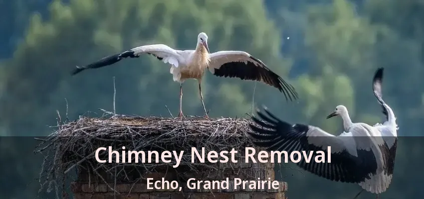 Chimney Nest Removal Echo, Grand Prairie - TX