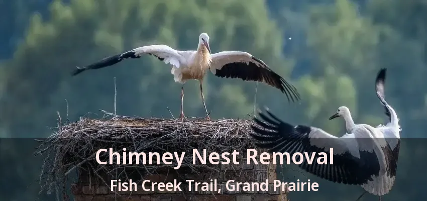 Chimney Nest Removal Fish Creek Trail, Grand Prairie - TX
