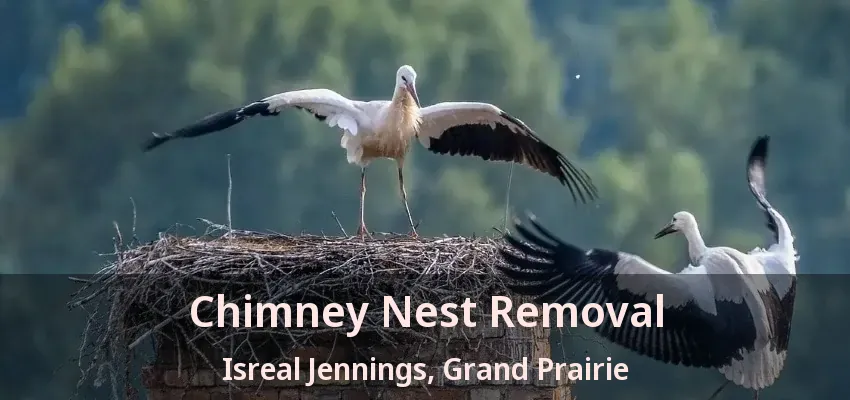 Chimney Nest Removal Isreal Jennings, Grand Prairie - TX