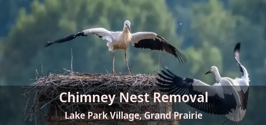 Chimney Nest Removal Lake Park Village, Grand Prairie - TX