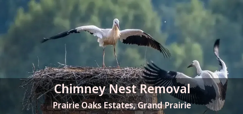 Chimney Nest Removal Prairie Oaks Estates, Grand Prairie - TX