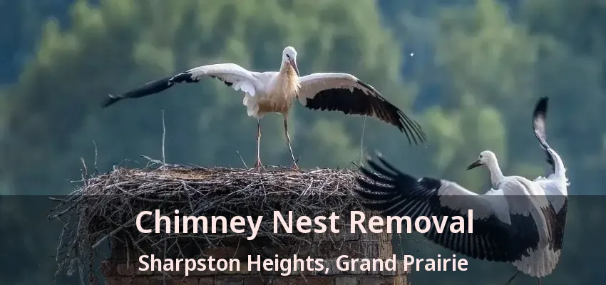 Chimney Nest Removal Sharpston Heights, Grand Prairie - TX