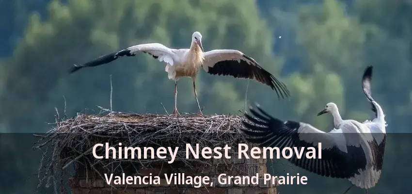 Chimney Nest Removal Valencia Village, Grand Prairie - TX