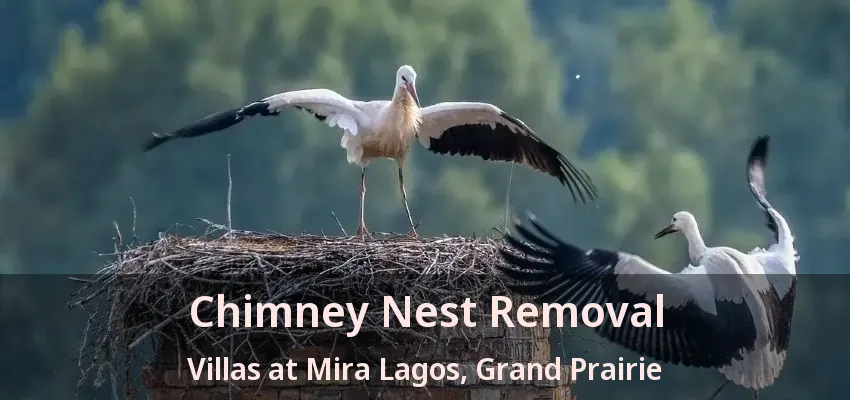 Chimney Nest Removal Villas at Mira Lagos, Grand Prairie - TX