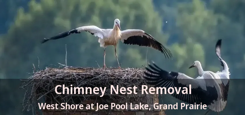 Chimney Nest Removal West Shore at Joe Pool Lake, Grand Prairie - TX