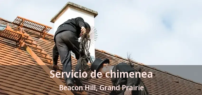 Servicio de chimenea Beacon Hill, Grand Prairie - TX