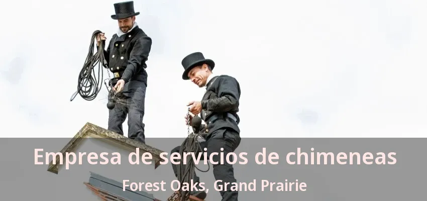 Empresa de servicios de chimeneas Forest Oaks, Grand Prairie - TX