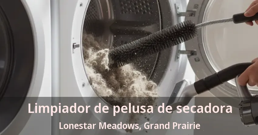 Limpiador de pelusa de secadora Lonestar Meadows, Grand Prairie - TX Limpiador de pelusa de secadora Lonestar Meadows, Grand Prairie - TX