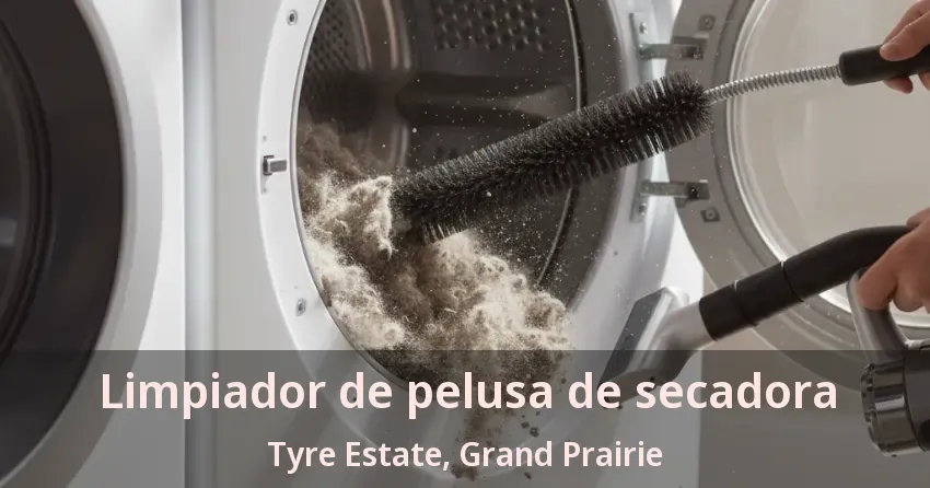 Limpiador de pelusa de secadora Tyre Estate, Grand Prairie - TX