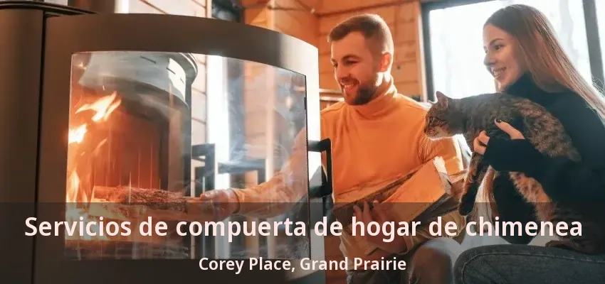 Servicios de compuerta de hogar de chimenea Corey Place, Grand Prairie - TX