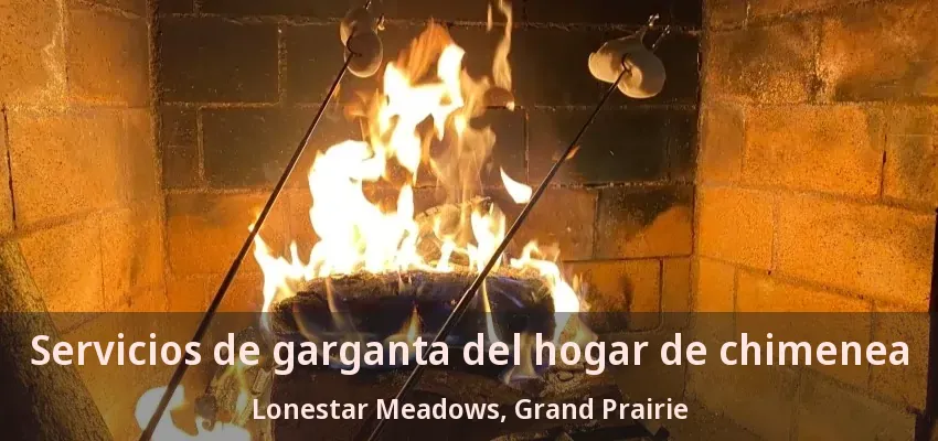 Servicios de garganta del hogar de chimenea Lonestar Meadows, Grand Prairie - TX Servicios de garganta del hogar de chimenea Lonestar Meadows, Grand Prairie - TX