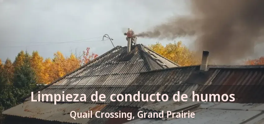 Limpieza de conducto de humos Quail Crossing, Grand Prairie - TX