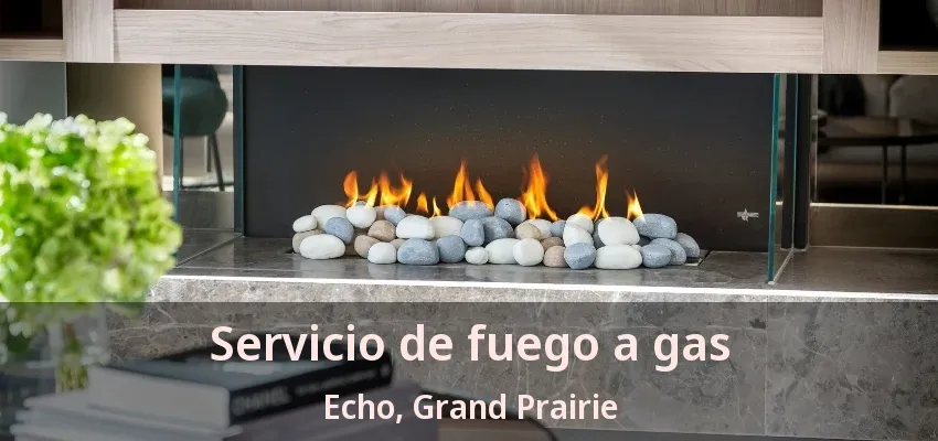 Servicio de fuego a gas Echo, Grand Prairie - TX