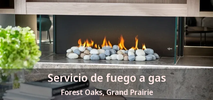 Servicio de fuego a gas Forest Oaks, Grand Prairie - TX