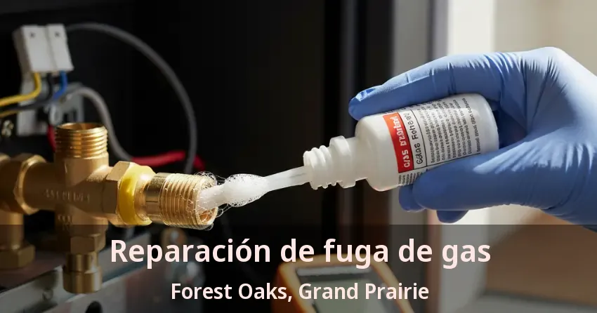 Reparación de fuga de gas Forest Oaks, Grand Prairie - TX Reparación de fuga de gas Forest Oaks, Grand Prairie - TX