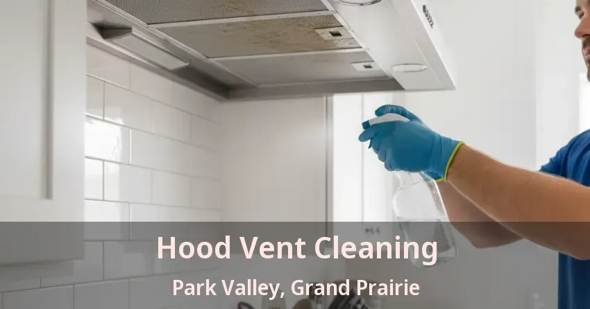 Hood Vent Cleaning Park Valley, Grand Prairie - TX