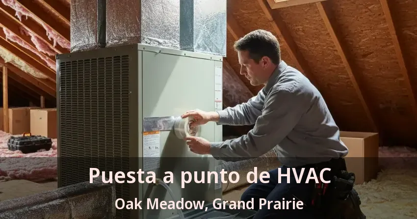 Puesta a punto de HVAC Oak Meadow, Grand Prairie - TX