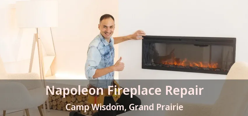 Napoleon Fireplace Repair Camp Wisdom, Grand Prairie - TX
