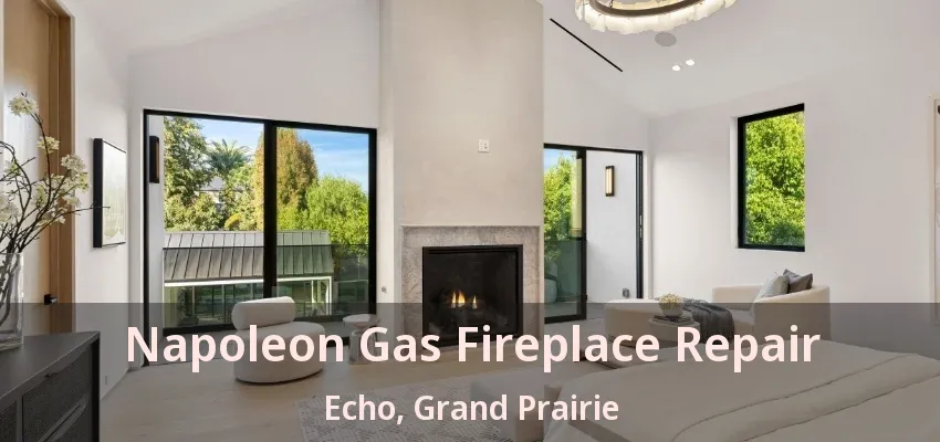 Napoleon Gas Fireplace Repair Echo, Grand Prairie - TX