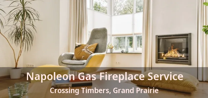 Napoleon Gas Fireplace Service Crossing Timbers, Grand Prairie - TX