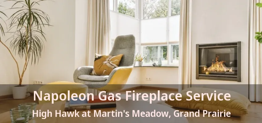 Napoleon Gas Fireplace Service High Hawk at Martin's Meadow, Grand Prairie - TX