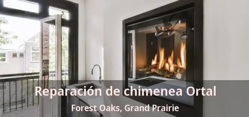Reparación de chimenea Ortal Forest Oaks, Grand Prairie - TX