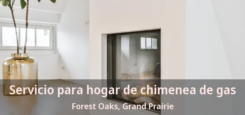 Servicio para hogar de chimenea de gas Forest Oaks, Grand Prairie - TX