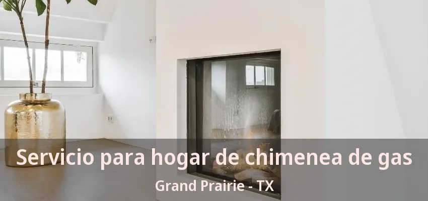 Servicio para hogar de chimenea de gas Grand Prairie - TX