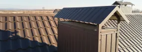 Chimney Cap Services Alta Hill, Grand Prairie