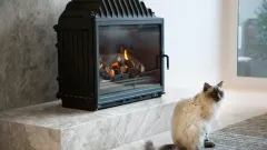 Wood Burning Fireplace Repair Alta Hill, Grand Prairie